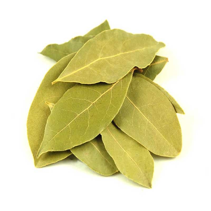 Defne Yaprağı