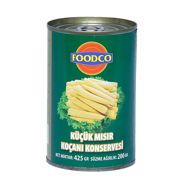 Koçan Mısır