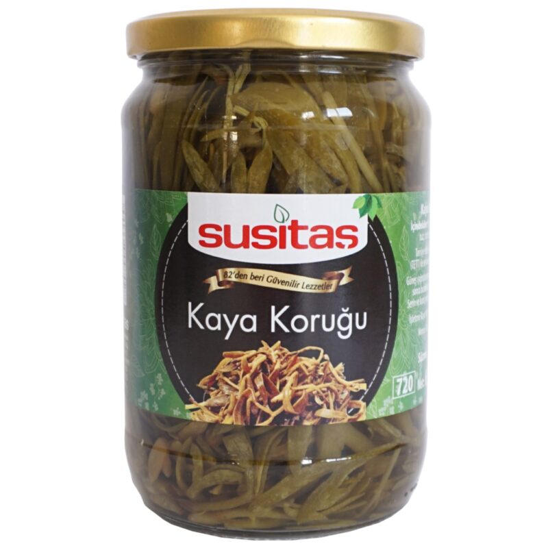 Kaya Koruğu