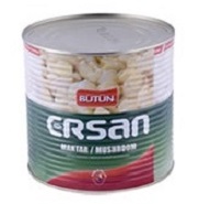 Bütün Mantar