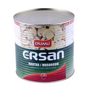 Dilimli Mantar