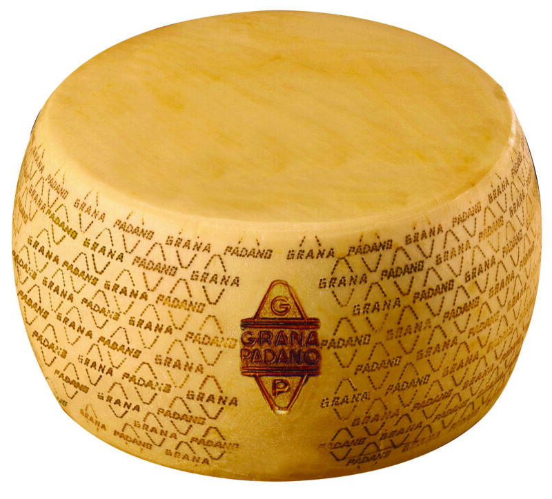 Parmezan 18 Aylık