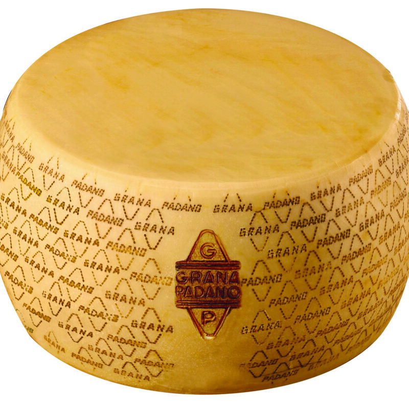Parmezan 18 Aylık