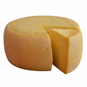Parmezan 12 Aylık