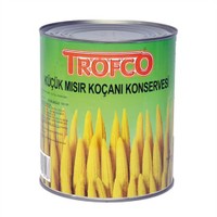Koçan Mısır