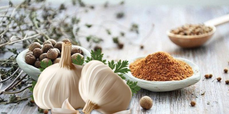 Gurme Türk Sarımsaklı Çeşni 1 Kg